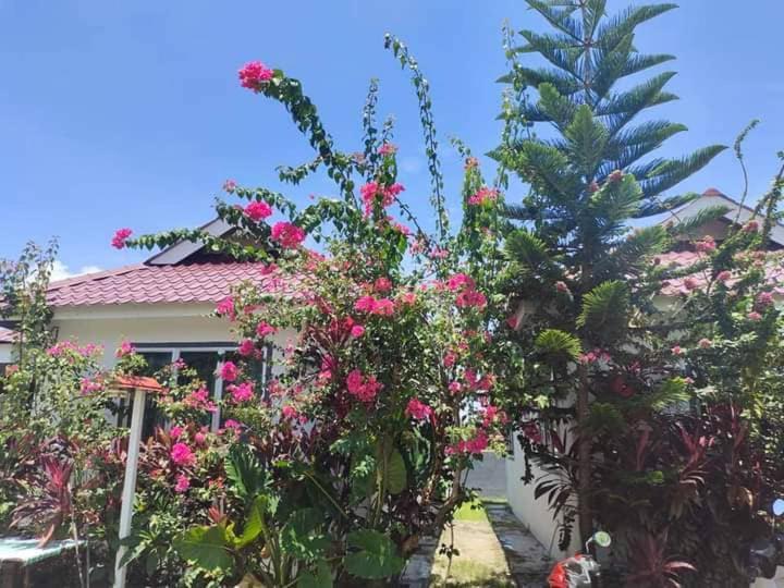 Langkawi Homestay Bunga Padi Kuah Eksteriør billede